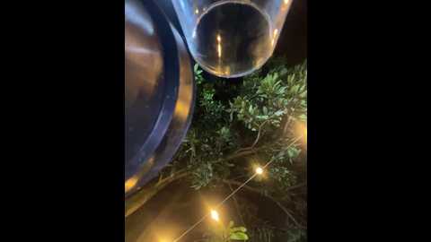 aurora_coldd @ stripchat on 20251111