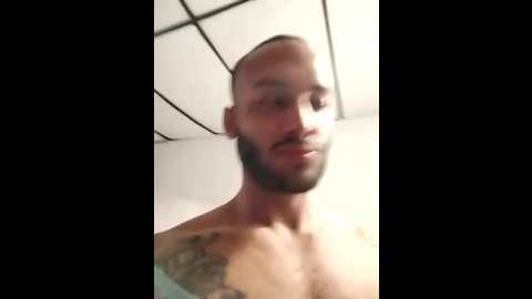 giselle_max @ stripchat on 20251111