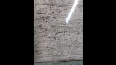 hot_plak @ stripchat on 20251111