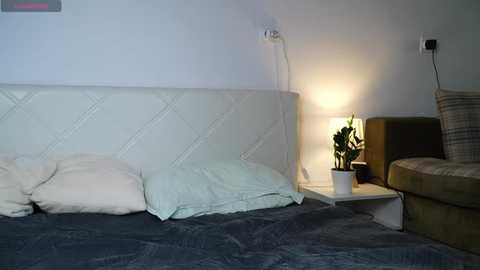 kaeliascorch @ stripchat on 20251111