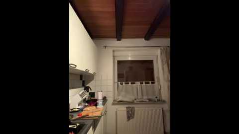 littlechaosqueen @ stripchat on 20251111