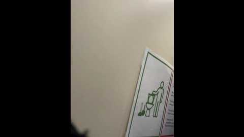 loveemilydix1 @ stripchat on 20251111