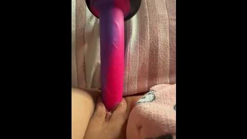 luisa1 @ stripchat on 20251111