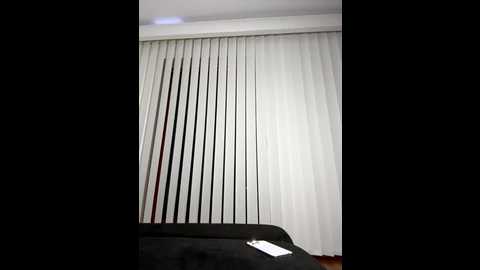 steffi_snowbunny @ stripchat on 20251111