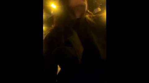 tiantiandao @ stripchat on 20251111