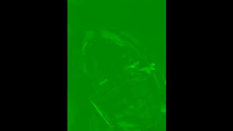 uyu0000 @ stripchat on 20251111