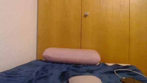 bellefleurrr @ stripchat on 20251112