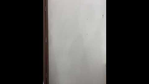 doggyasmina @ stripchat on 20251112