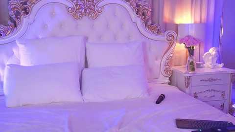 janebrock @ stripchat on 20251112