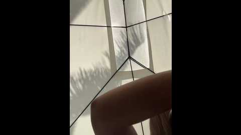 natalia_vidal @ stripchat on 20251112