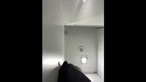 rinacat @ stripchat on 20251112