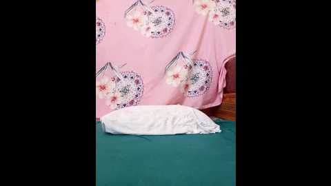 sdlmona @ stripchat on 20251112