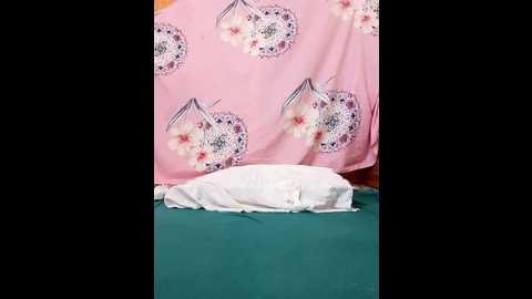 sdlmona @ stripchat on 20251112