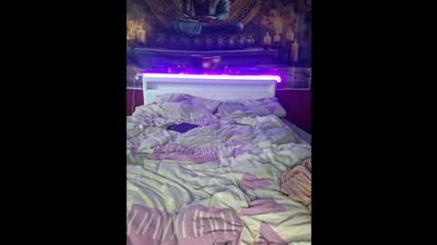 slimbellaa @ stripchat on 20251112