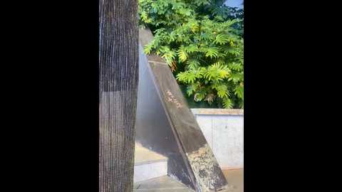 sunny_520 @ stripchat on 20251112