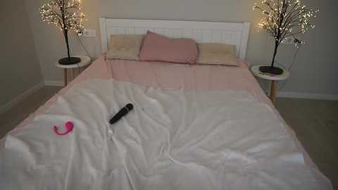 valeryroyale @ stripchat on 20251112