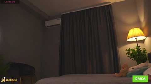 bellacle @ stripchat on 20251113