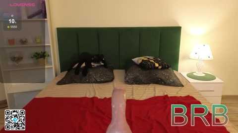 bonnie_white @ stripchat on 20251113