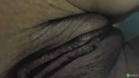 courtney_luv @ stripchat on 20251113