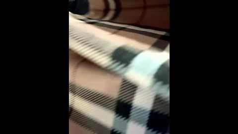 hamy88 @ stripchat on 20251113