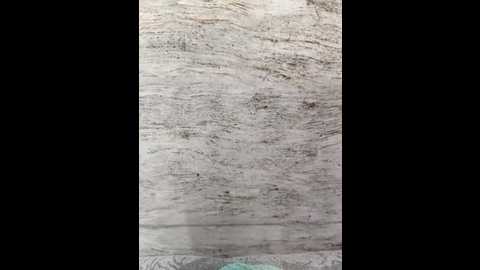 hot_plak @ stripchat on 20251113