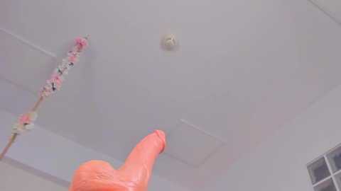 jassyejoy @ stripchat on 20251113