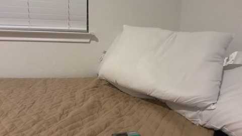 kykybaby4444 @ stripchat on 20251113