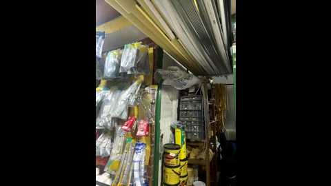 madame_arlette @ stripchat on 20251113