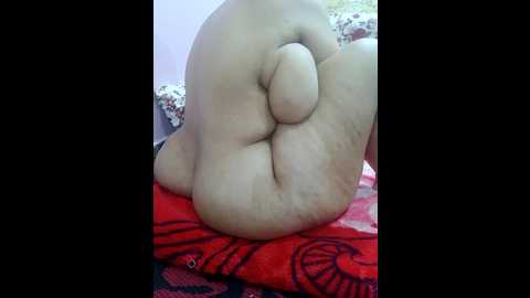 mama_queeen @ stripchat on 20251113