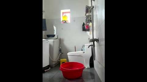 minhnguyet_03 @ stripchat on 20251113