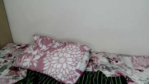 nisha_102 @ stripchat on 20251113