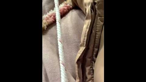 bambi_lu @ stripchat on 20251114