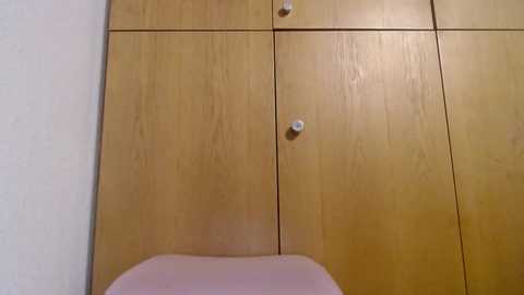 bellefleurrr @ stripchat on 20251114