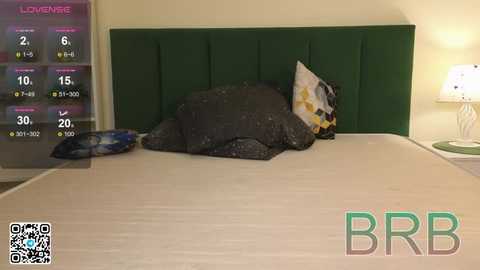 bonnie_white @ stripchat on 20251114