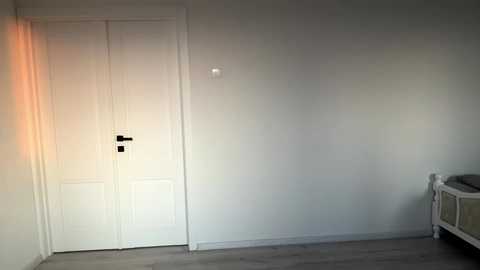 ehtelbiondi @ stripchat on 20251114