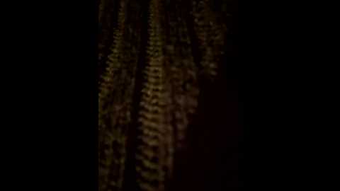 giselle_miau @ stripchat on 20251114