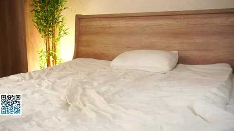 lolysun @ stripchat on 20251114