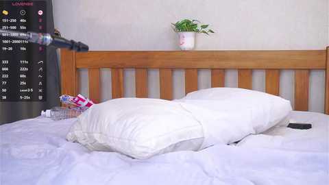 odetteaven @ stripchat on 20251114