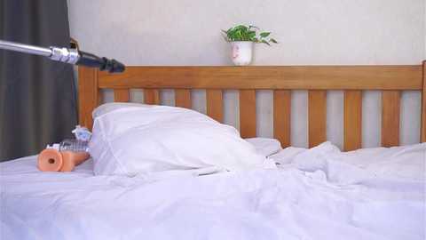 odetteaven @ stripchat on 20251114