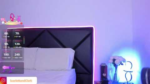 scarlettandclark @ stripchat on 20251114