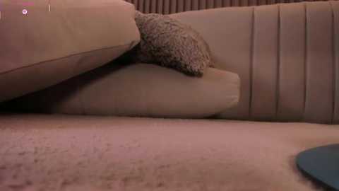 sophicarters @ stripchat on 20251114