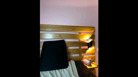 stefania_lerner @ stripchat on 20251114