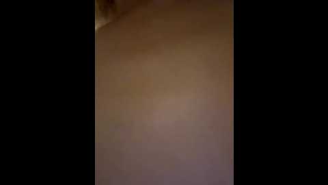 sweetbunnygf @ stripchat on 20251114