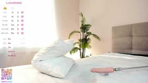 sweetlilylove @ stripchat on 20251114