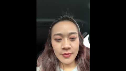 vivi_tara @ stripchat on 20251114