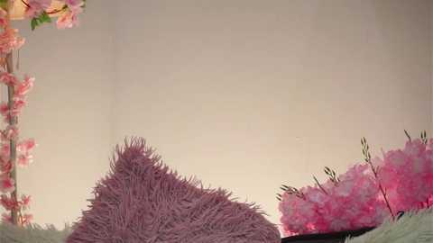 amilewis @ stripchat on 20251115