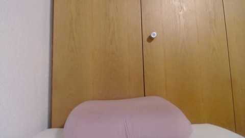 bellefleurrr @ stripchat on 20251115