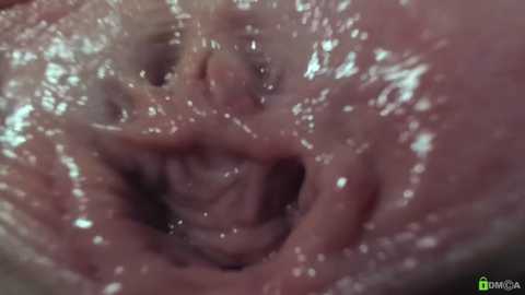 courtney_luv @ stripchat on 20251115