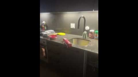 elliepixie @ stripchat on 20251115