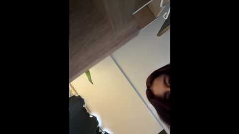 indialatin @ stripchat on 20251115